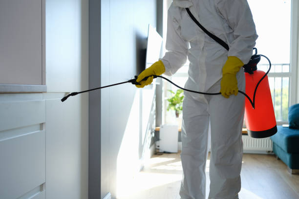 24/7 water damage repair in North Braddock, PA